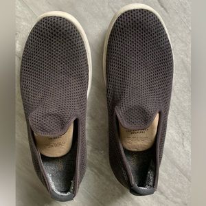 Allbirds Tree Loungers